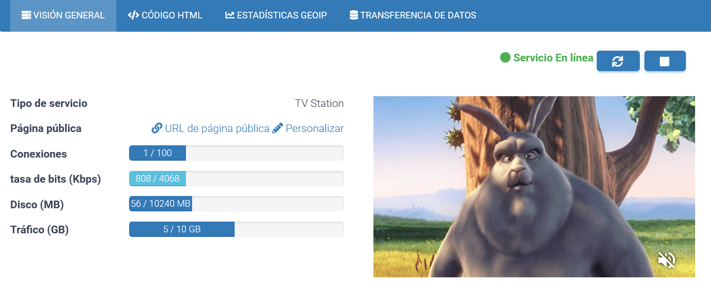 LineasDNS Streaming Servicios de Streaming de Video